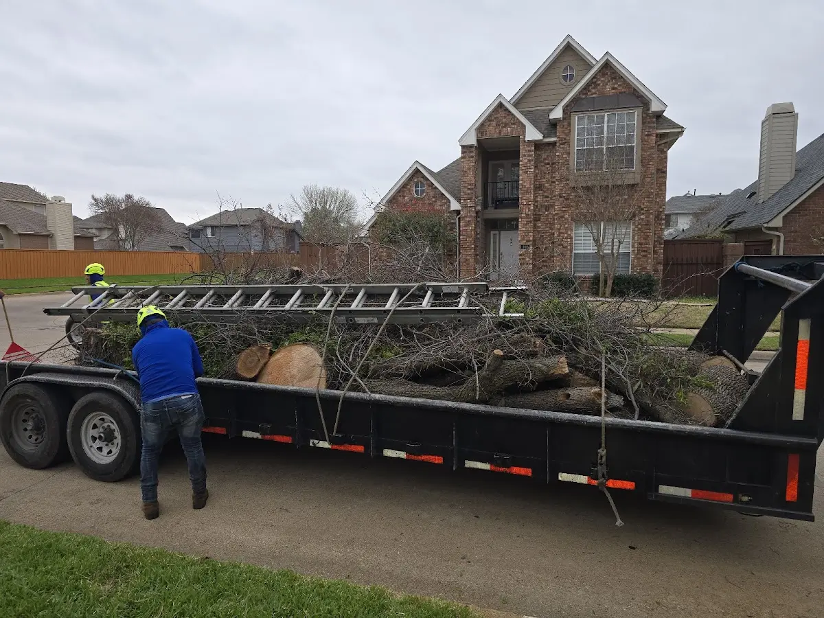 Expert Tree Fertilization with proper safety equipment in Hunnewell